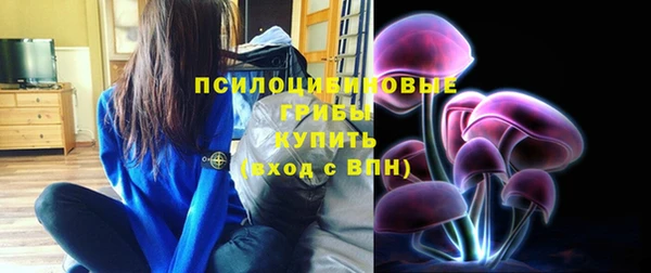 мескалин Алексин