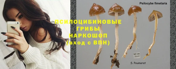 бутират Алзамай