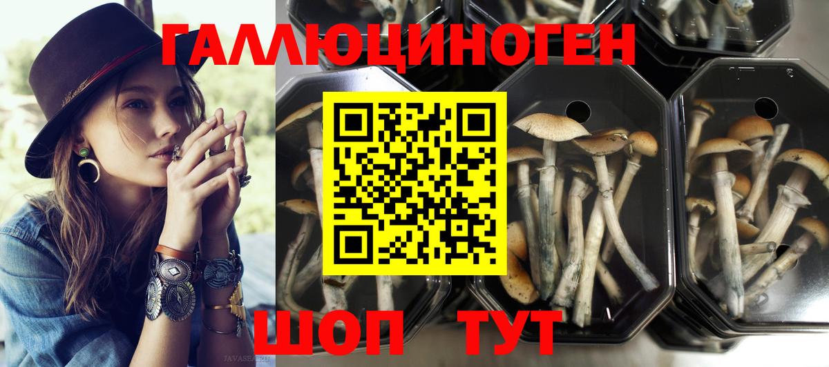 Псилоцибиновые грибы Psilocybine cubensis  Псилоцибиновые грибы Psilocybe  Белореченск  Вход с VPN 