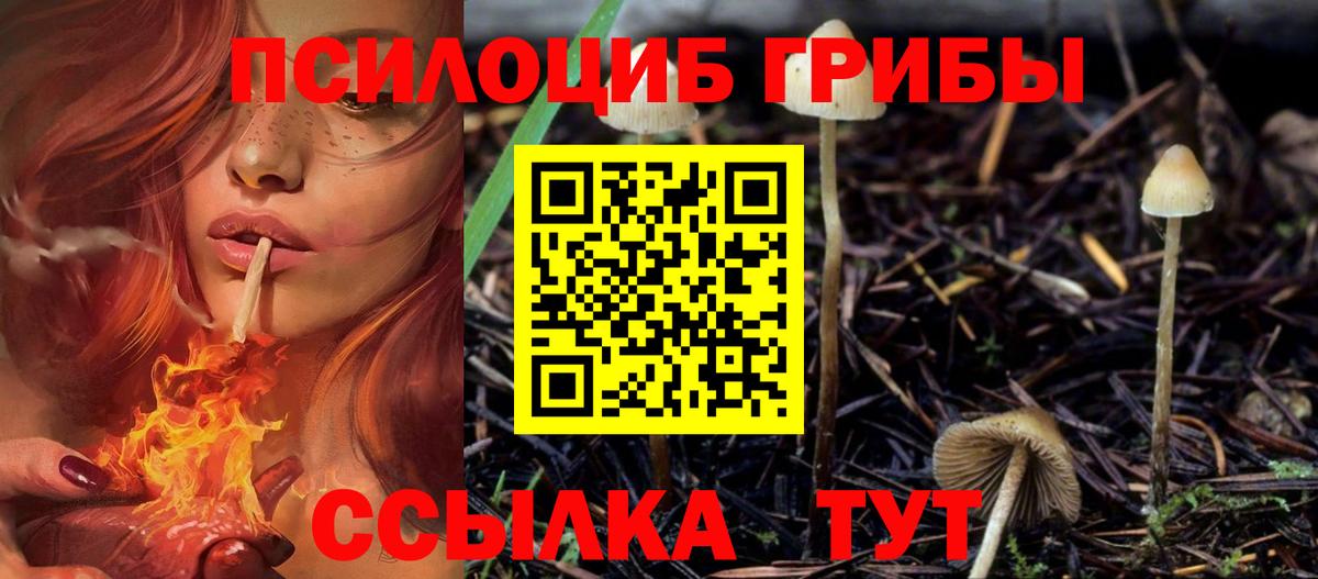 Галлюциногенные грибы ЛСД Белореченск